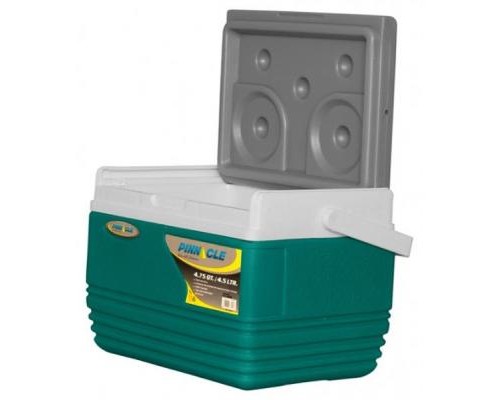 Термобокс Pinnacle Eskimo 4,5л (0682622060060TURQUOISE)