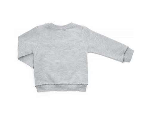 Набір дитячого одягу Breeze з тигриком (13251-80B-gray)