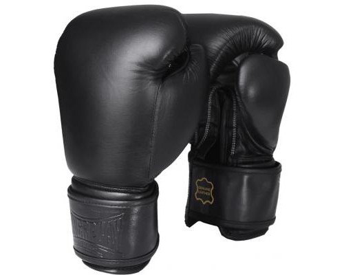 Боксерські рукавички PowerPlay 3014 14oz Black (PP_3014_14oz_Black)