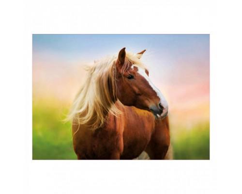 Пазл Educa Кінь на світанку 500 елементів (6336984)