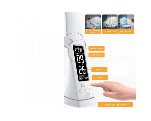 Парта зі стільцем Evo-kids BD-04 Z Teddy + лампа