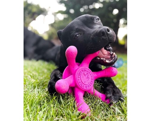 Іграшка для собак Kiwi Walker Восьминіг 13 см рожева (8596075002794)