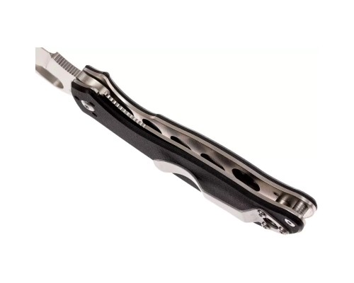 Ніж Spyderco Byrd Raven 2 G-10 (BY08GP2)