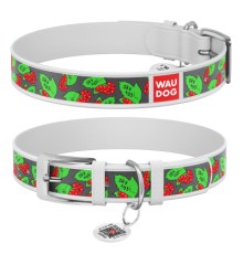 Нашийник для тварин WAUDOG Design з QR паспортом 