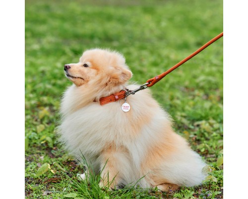 Нашийник для тварин WAUDOG Soft з QR паспортом круглий Д 8 мм Д 25-33 см коричневий (22326)