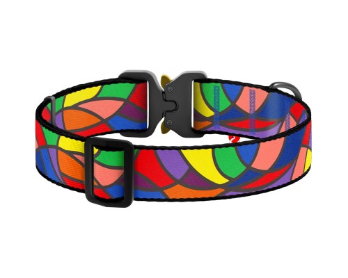 Нашийник для тварин WAUDOG Nylon з QR паспортом 