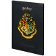 Щоденник шкільний Kite Harry Potter, тверда обкладинка (HP25-262-2)