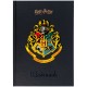 Щоденник шкільний Kite Harry Potter, тверда обкладинка (HP25-262-2)