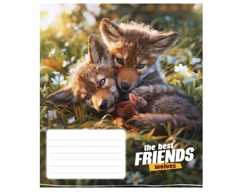 Зошит Школярик The best friends 12 аркушів коса лінія (012-3434C)