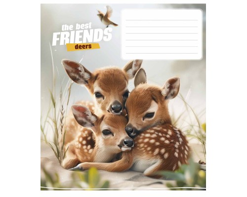 Зошит Школярик The best friends 12 аркушів коса лінія (012-3434C)