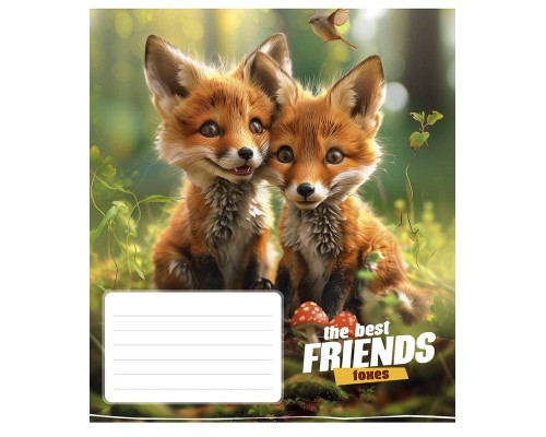 Зошит Школярик The best friends 12 аркушів коса лінія (012-3434C)