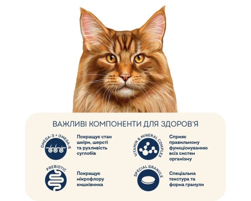 Сухий корм для кішок Home Food For large breeds з телятиною, лососем та в’яленими томатами 400 г (4820235021009)