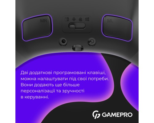Геймпад GamePro із зарядною станцією BT 5.3/USB/2.4 ГГц (Switch/PC/iOS/Android) RGB Black (GPX13BDOC)