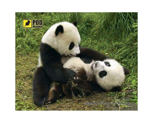 Килимок для мишки Pod Mishkou Панди