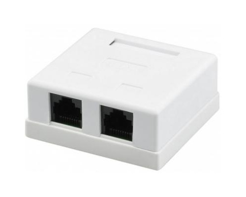 Комп'ютерна розетка RJ45x2 UTP, 8P8C, cat.5e Ritar (00200)