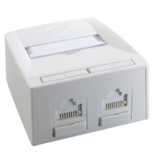 Комп'ютерна розетка RJ45 x2 UTP 5e Molex (SSY-00010-02)