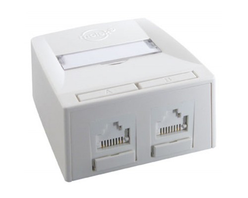 Комп'ютерна розетка RJ45 x2 UTP 5e Molex (SSY-00010-02)