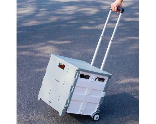 Сумка-візок Xiaomi MAIWEI Trolley Case Grey 55L (Ф24877)