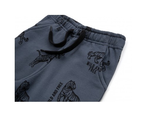 Штани дитячі Breeze спортивні на флісі (16694-92B-gray)