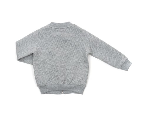 Кофта дитяча Breeze на блискавці (18292-116B-gray)