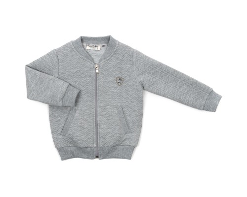 Кофта дитяча Breeze на блискавці (18292-116B-gray)