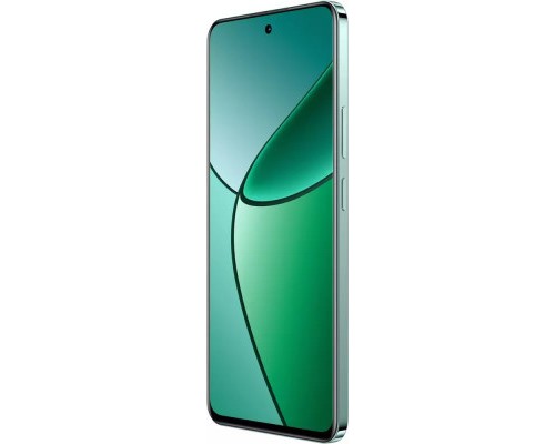 Мобільний телефон realme 12 Plus 5G 8/256GB Pioneer Green