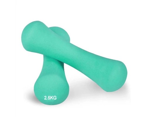 Гантель PowerPlay неопренові 4126 Spartacus 2 х 2,5 кг Мятні (PP_4126_2.5kg_2in)