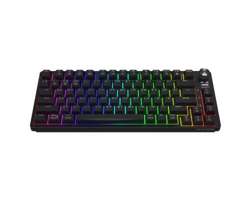 Клавіатура Hator Icefall Pro Wireless/Bluetooth/USB Black (HTK450UA)