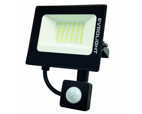 Прожектор EVROLIGHT FM-01D-30 30W 6400К