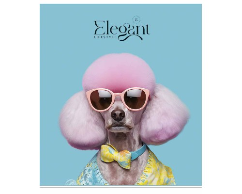 Зошит Школярик Elegant portrets 48 аркушів клітинка (048-3309K)