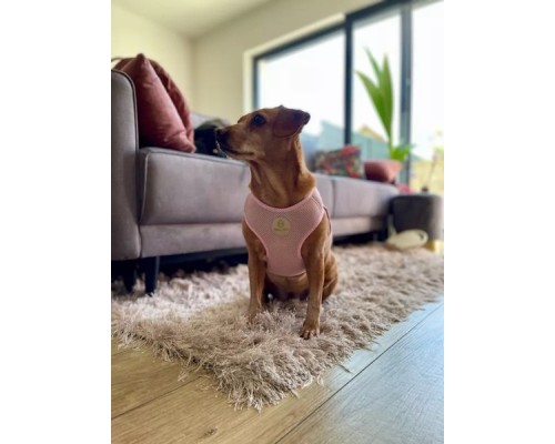 Шлея для собак Chloe's Home Dakar рожева M (CLH8768)