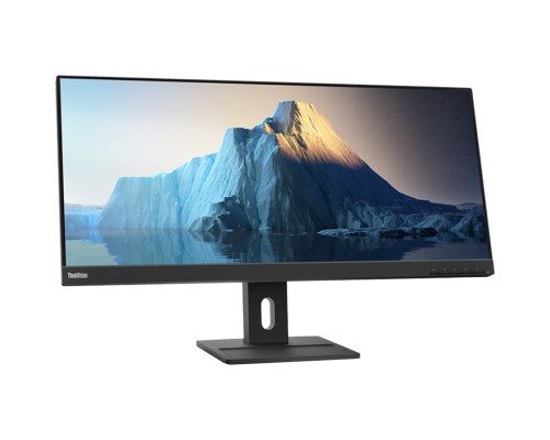 Монітор Lenovo E29w-20 (62CEGAT3UA)