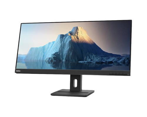 Монітор Lenovo E29w-20 (62CEGAT3UA)