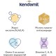Дитяча суміш Kendamil Goat 2 на козячому молоці 6-12 місяців 800 г (92000019)