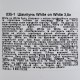 Шампунь для тварин Chris Christensen White on White 3.8 л (851163000464)