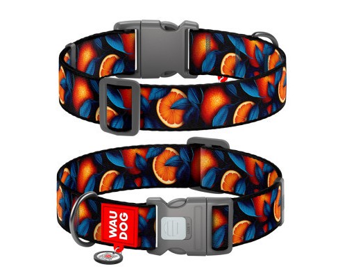 Нашийник для тварин WAUDOG Nylon з QR паспортом 