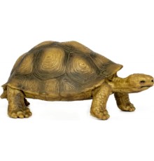 Фігурка Kids Team Сафарі Черепаха (Q9899-A81_6)