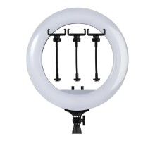 Лампа Fill Light RL-21 54cm Original