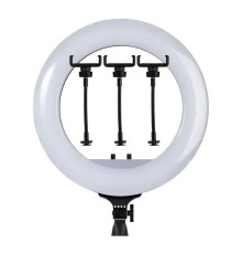Лампа Fill Light RL-21 54cm Original