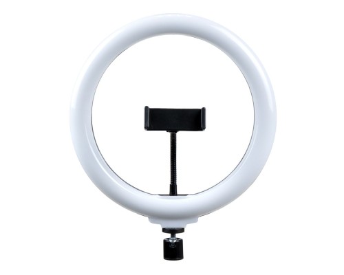Лампа Fill Light 26cm (DX-260) Лампа Fill Light 26cm (DX-260)