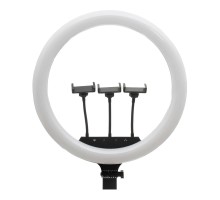 Лампа Fill Light 45cm (LJJ-45)