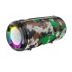 Колонка Borofone BR13