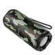 Колонка Borofone BR15