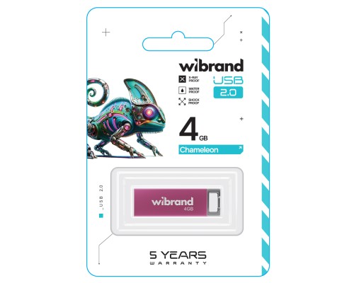 USB флеш накопичувач Wibrand 4GB Chameleon Pink USB 2.0 (WI2.0/CH4U6P) 