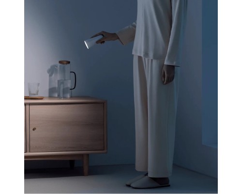 Лампа Xiaomi Flexible Rechargeable Lamp GL (BHR8959GL) Лампа Xiaomi Flexible Rechargeable Lamp GL (BHR8959GL)