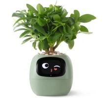 Інтерактивний розумний горщик для рослин Ivy Smart Planter Tuya AI, Green (ISPTAG) 