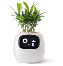 Інтерактивний розумний горщик для рослин Ivy Smart Planter Tuya AI, White (ISPTAW)