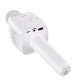 Портативна колонка HOCO BK5 Cantando karaoke microphone White (6931474742292)