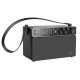 Портативна колонка HOCO BS50 Chanter wireless double mic karaoke BT speaker Black (6931474779274)