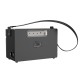 Портативна колонка HOCO BS50 Chanter wireless double mic karaoke BT speaker Black (6931474779274)